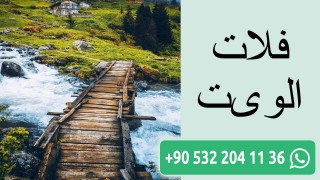 فلات الویت